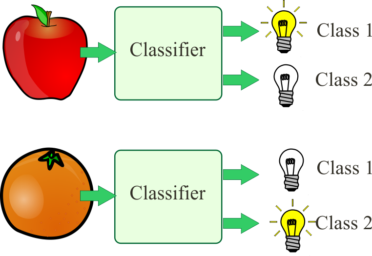 Classification