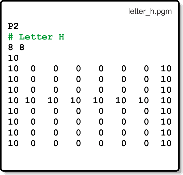 pgmFile